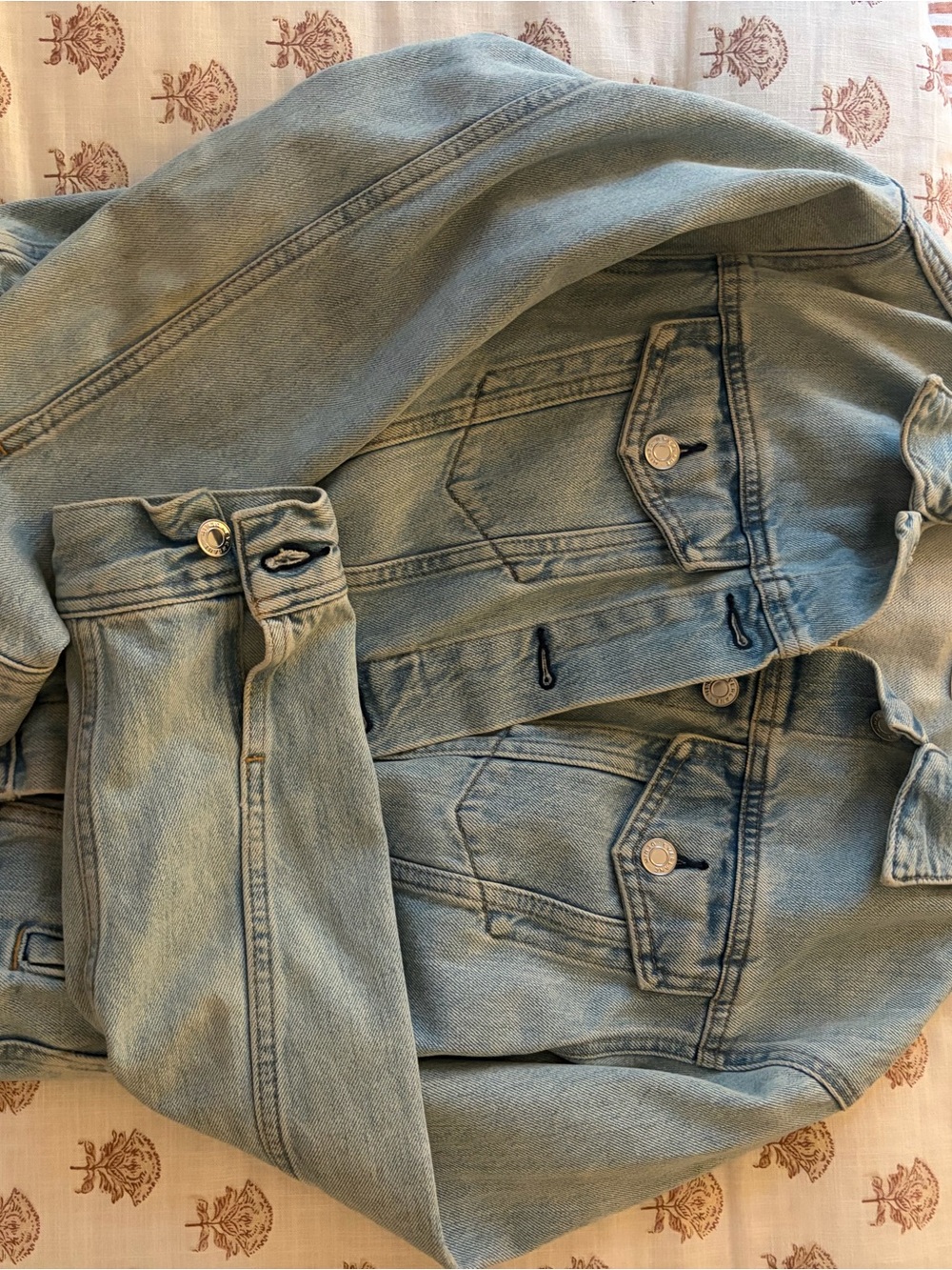 Everlane Light Wash Denim Jacket